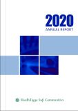 2020 annual report cover for website